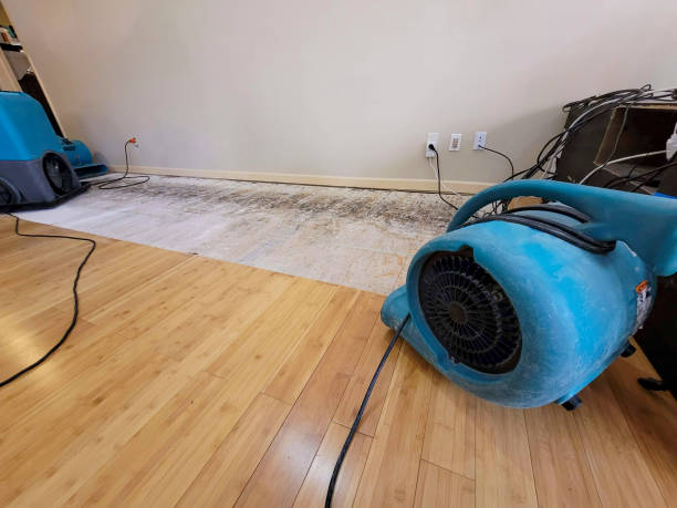 Professional Sewage Cleanup technician working in Belgrade, MO
